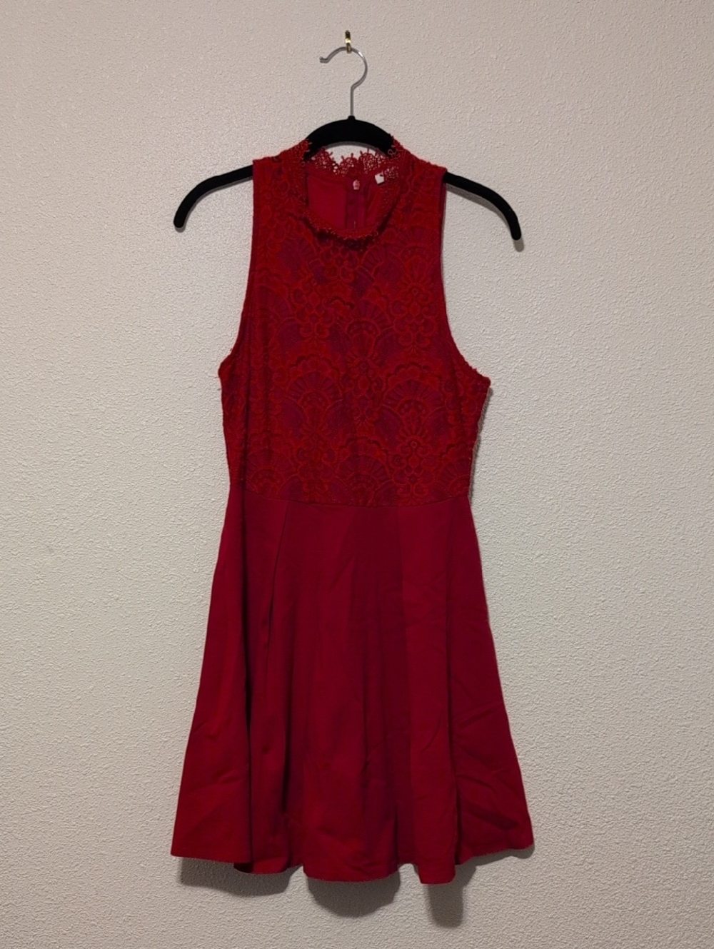 Francesca's Collections Red Lace Fit & Flare Mini Dress